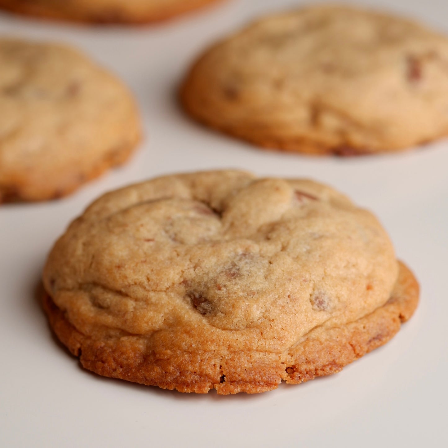 Chocolate Chip Cookie